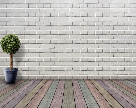 wall-empty-colour-plant-brick-wood